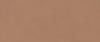 Керамическая плитка Atlas Concorde Boost Expression AYR9 Sienna Matte 50x120