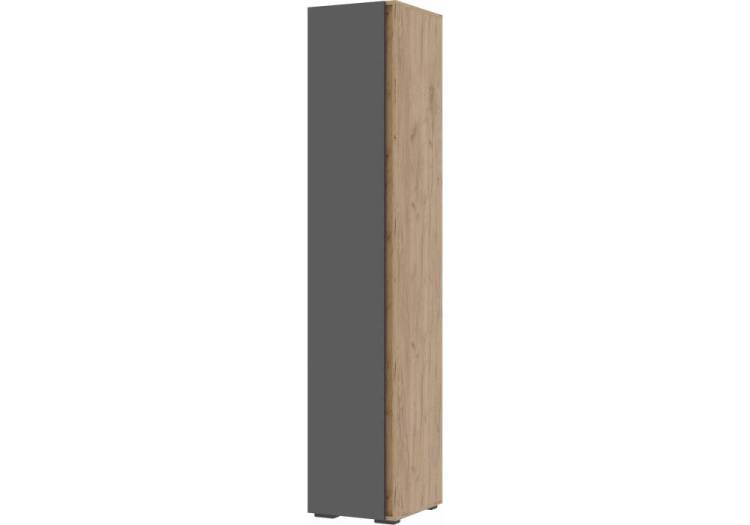 Шкаф Woodville Элла ПН 01 586705 серый графит 0162/дуб крафт золото