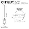 Подвесной светодиодный светильник Citilux Vind CL214011 фото 18