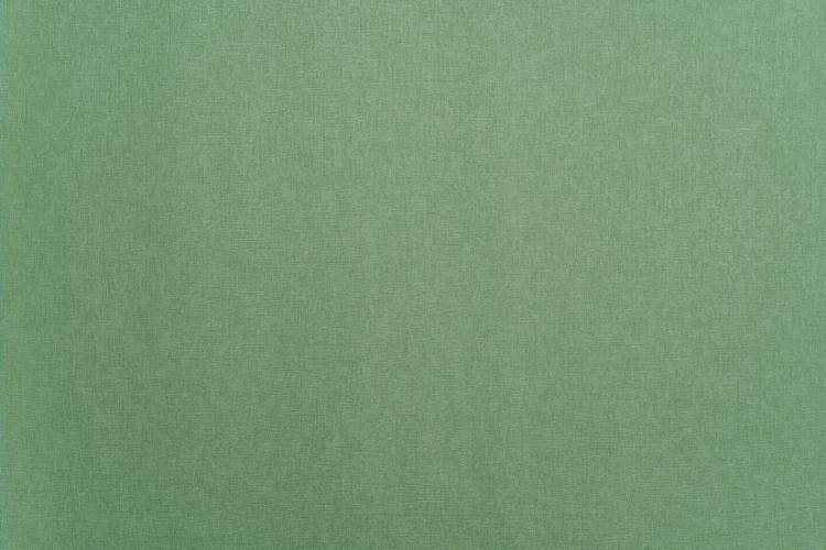 Обои Артекс Estetic 11248-03