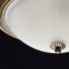 Потолочная люстра MW-Light Ариадна 450015503 фото 7