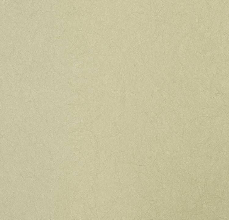 Обои флизелиновые Bernardo Bartalucci Legend 5068-87