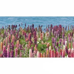 Декор Ceradim Flora КВС16Flora 25x45