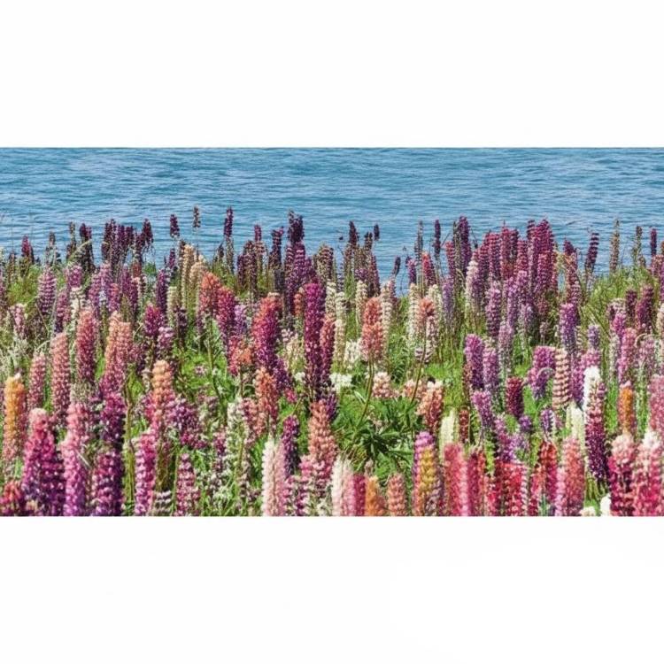 Декор Ceradim Flora КВС16Flora 25x45