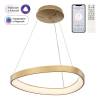 Подвесная светодиодная люстра Citilux Genka Smart CL756A042