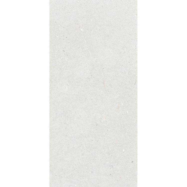 Керамогранит Simpolo Fossil MPL-061841 Stx Silver 59.8x119.8