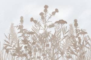 3D Фотообои Artegrafico «Светлые полевые растения в тёплых тонах» HRB-059 акварель