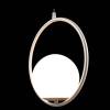 Подвесной светильник Loft IT Glob LOFT2600-B фото 2