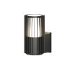 Уличный настенный светильник Denkirs Farsun DK9722-BK фото 3