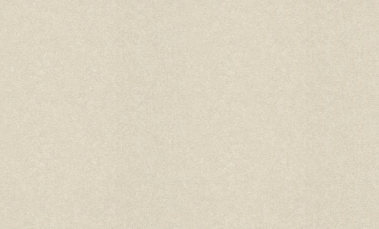 Обои флизелиновые Rasch Composition Xl 973662