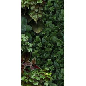 Декор 41ZERO42 Paper41 Pro 4100154 Jane D 50x100