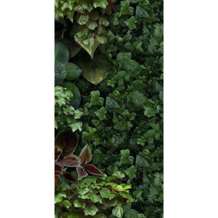 Декор 41ZERO42 Paper41 Pro 4100154 Jane D 50x100