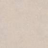Керамогранит Porcelanosa Terra 100348044 Topo Ant L 120x120
