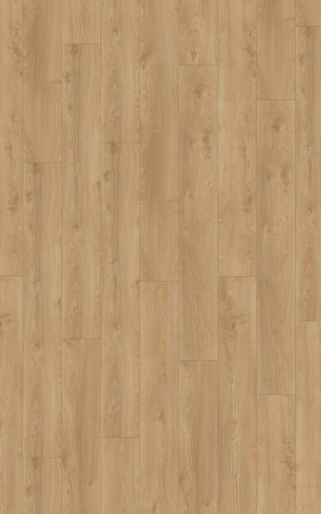 Ламинат Kronotex Mammut Plus 10/33 4V D41642 Дуб Макро Серебряный 1845x244