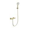 Смеситель для душа Wonzon & Woghand WW-B2003-A-BG термостатический, брашированное золото