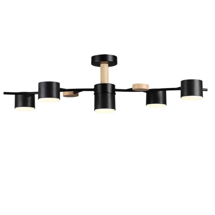 Потолочный светильник Lumion Comfi 8194/5C