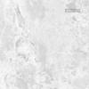 Керамогранит Absolut Gres Breccia White AB 1136G gloss 600x600 фото 3