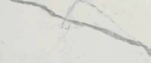 Керамическая плитка FAP Ceramiche Roma Gold fQCS Carrara Superiore Brillante 50x120