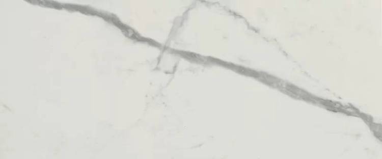 Керамическая плитка FAP Ceramiche Roma Gold fQCS Carrara Superiore Brillante 50x120
