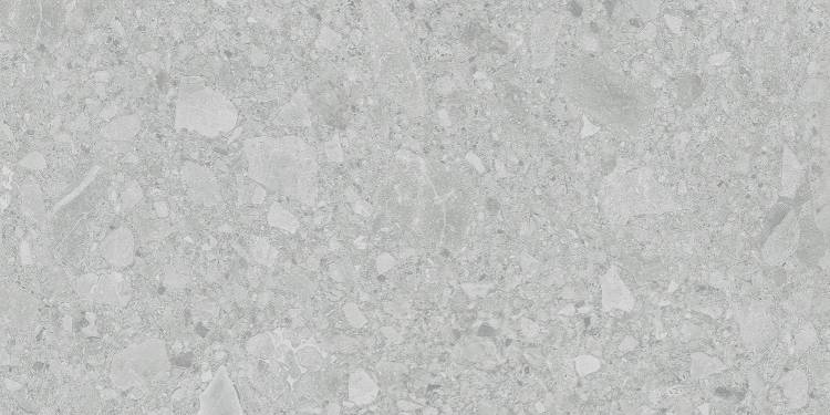 Керамогранит Lasselsberger Ceramics Иней Техно 6493-0196 серый 60x120