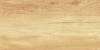 Керамическая плитка AltaCera Paradise WT9OAS31 Wood 25x50