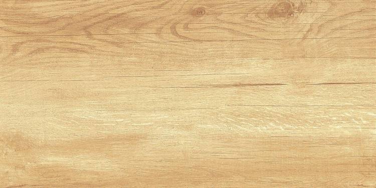 Керамическая плитка AltaCera Paradise WT9OAS31 Wood 25x50