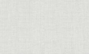 Обои виниловые Rasch Wallton 181517