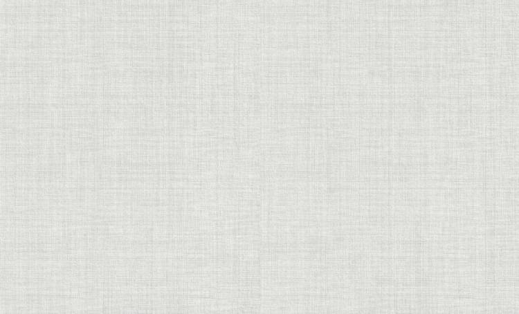 Обои виниловые Rasch Wallton 181517