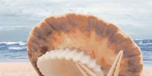 Декор Нефрит Керамика Аликанте 07-00-5-10-00-11-123 Жемчужина на море 25x50