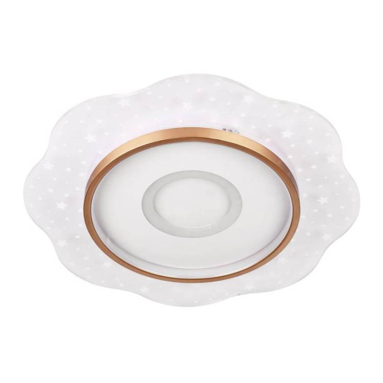 Потолочный светильник LED4U L1028-500 WH-GD