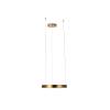 Подвесной светодиодный светильник Loft IT Ring 10013S фото 4