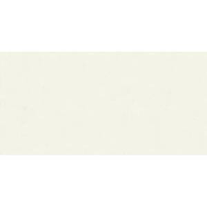 Керамогранит Ariana Floralia 8228 Lys 60x120