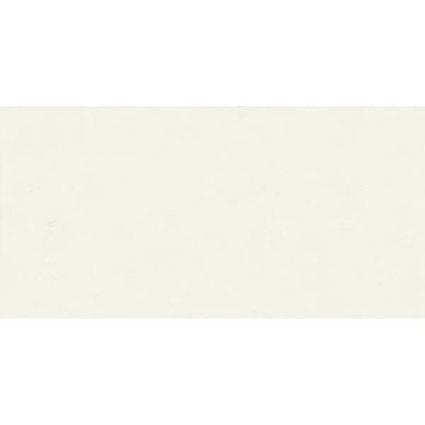 Керамогранит Ariana Floralia 8228 Lys 60x120