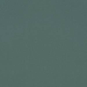 Обои Rasch Natural Colors 690750