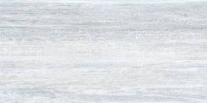 Керамическая плитка Alma Ceramica TWU09WOD006 50x24.9