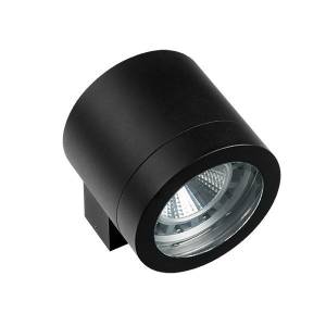 Уличный настенный cветильник Lightstar Paro 350617