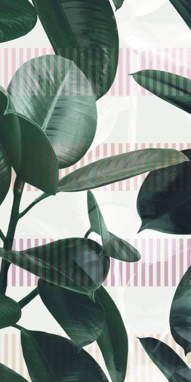 Керамогранит 41ZERO42 Paper41 Pro 4100713 Olivia 50x100