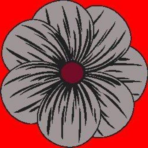 Ковролин Oz Kaplan (Оз Каплан) Defier 01112A ANP33