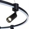 Подвесная люстра Arte Lamp Ring A2186SP-1BK фото 2