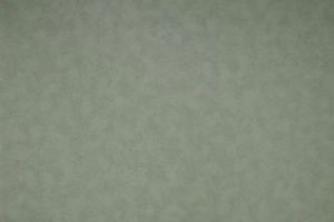Обои NC Antivandal Color 4050-030