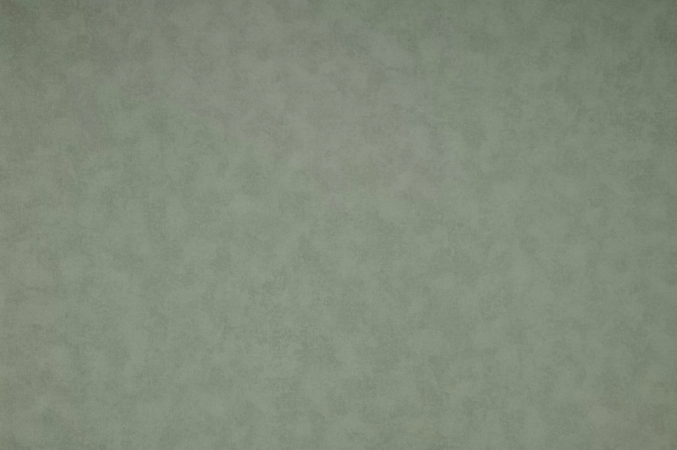 Обои NC Antivandal Color 4050-030