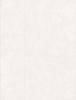 Керамогранит Infinity Ceramica Sandstar Bianco Carving 60x120 фото 2