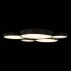 Потолочный светильник Loft IT Drum 10218 Black фото 2
