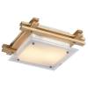 Потолочный светильник Arte Lamp 94 A6460PL-2BR фото 2