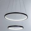 Подвесной светодиодный светильник Arte Lamp Frodo A2197SP-2BK фото 4