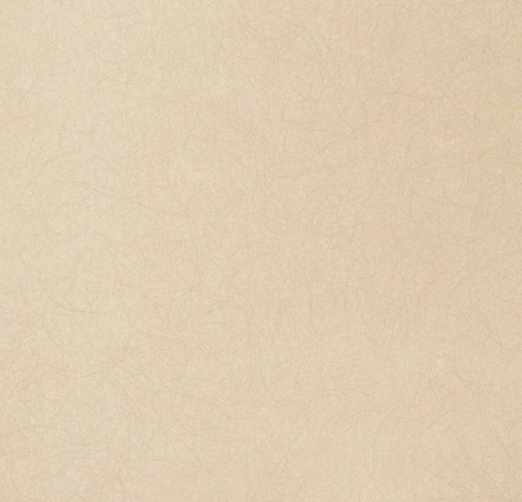 Обои флизелиновые Bernardo Bartalucci Legend 5068-79