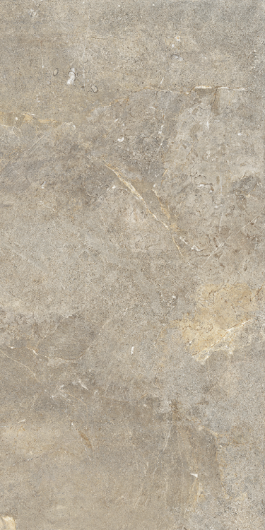 Керамогранит Cercom Everstone 10893241 Everbrown Ret 60x120