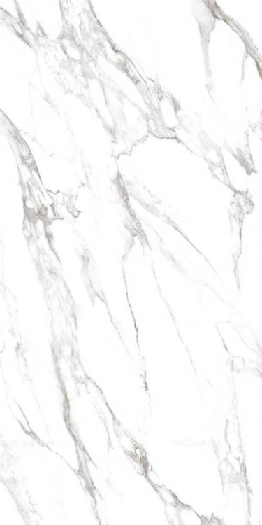 Керамогранит Simpolo Carrara Dove high glossy 79,8х159,8