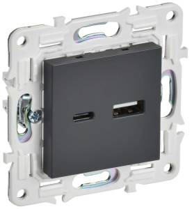 Розетка USB type A+C IEK Skandy SK-U22-D31-K48 титан