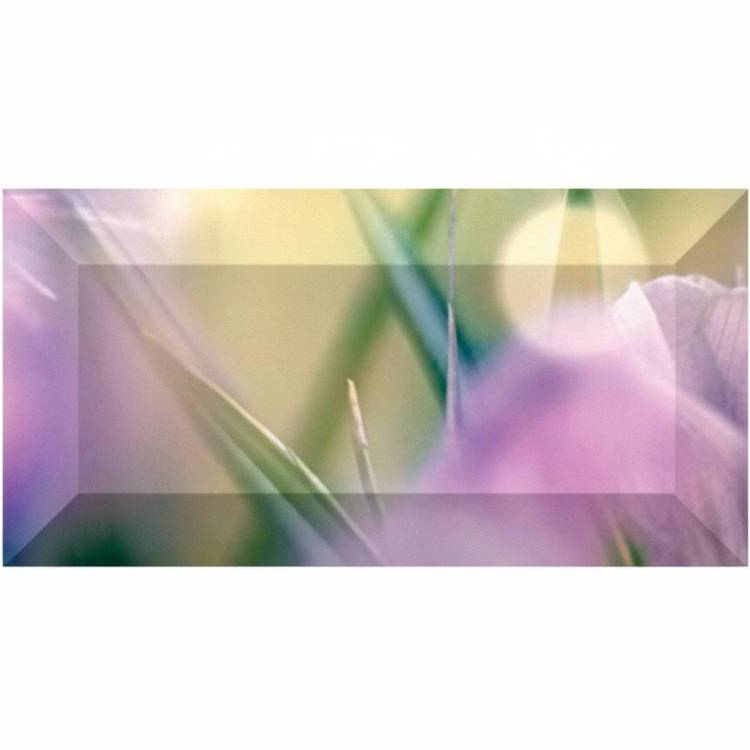 Бордюр Ceramica Classic Crocus br1020D286-1 10x20